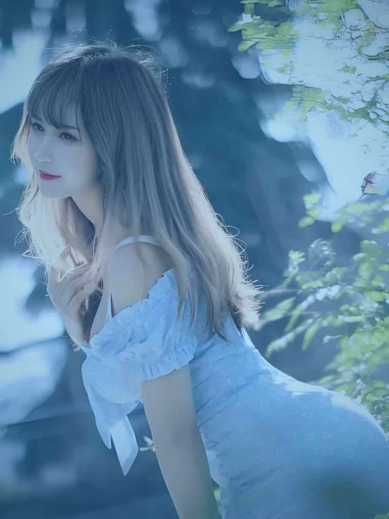 主人手持摄像机俯拍视角，狗狗正专注地尝试穿越由靠垫组成的简易障碍通道