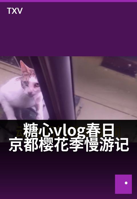 糖心vlog春日京都樱花季慢游记 - 漫步花见小路，定格春日风物诗