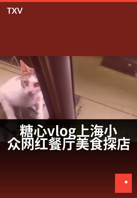 糖心vlog上海小众网红餐厅美食探店 - 上海隐秘角落，糖心带你解锁宝藏味道！-美食探店-糖心vlog