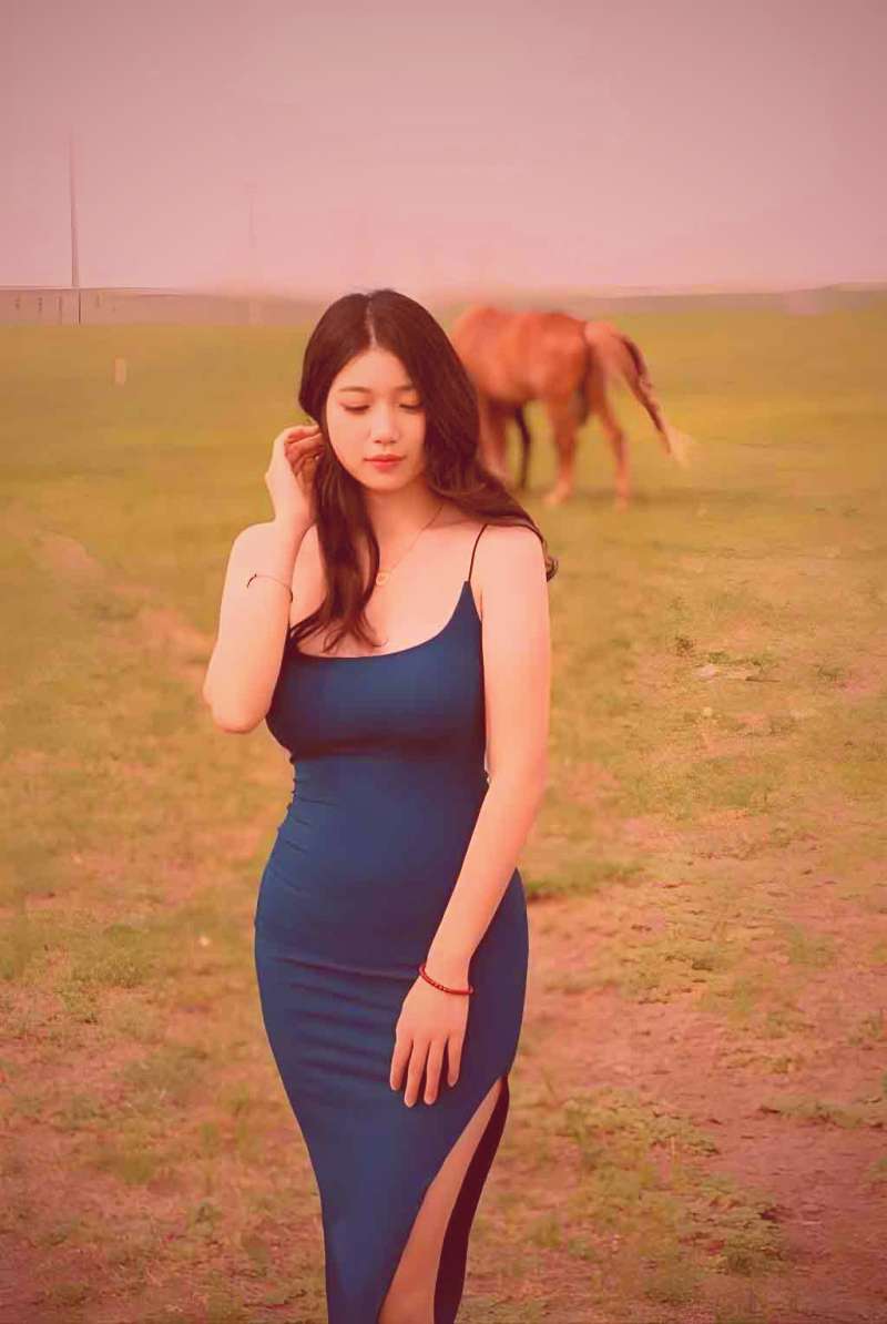 两碗不同风格的卤煮火烧特写对比，旁边放着北冰洋汽水